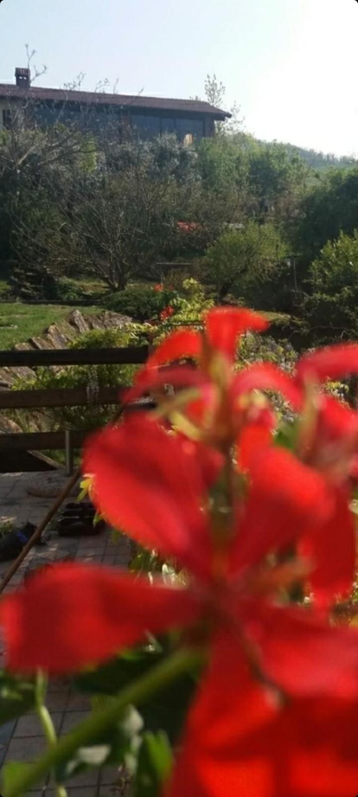 Agriturismo La Ca' Di Albasi Renzo Villa Bicchignano Dış mekan fotoğraf